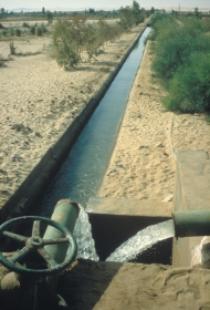 Exploring the use of wastewater in agriculture