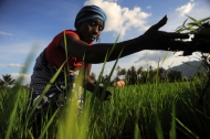 World Food Day highlights that climate is changing and that food and agriculture must too