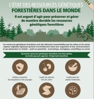 L'Etat des ressources génétiques forestières mondiales