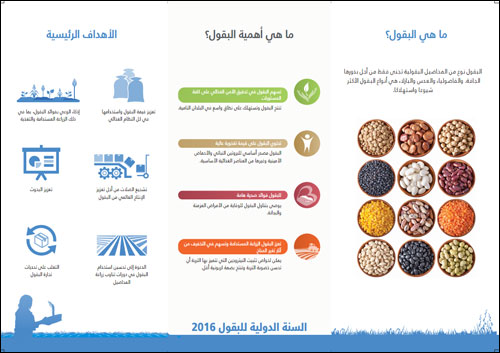 مواد إعلامية 2016 السنة الدولية للبقول