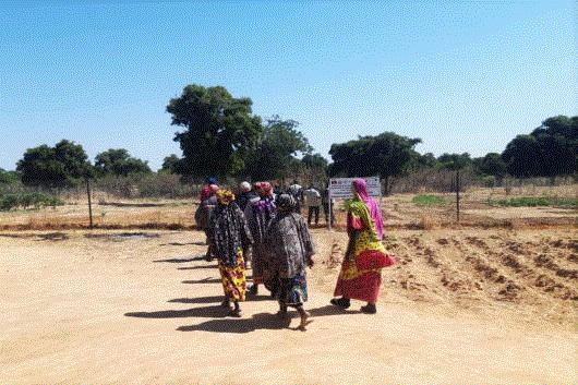 Bureau Sous Regional De La Fao Pour L Afrique De L Ouest Bureau Regional De La Fao Pour L Afrique Organisation Des Nations Unies Pour L Alimentation Et L Agriculture