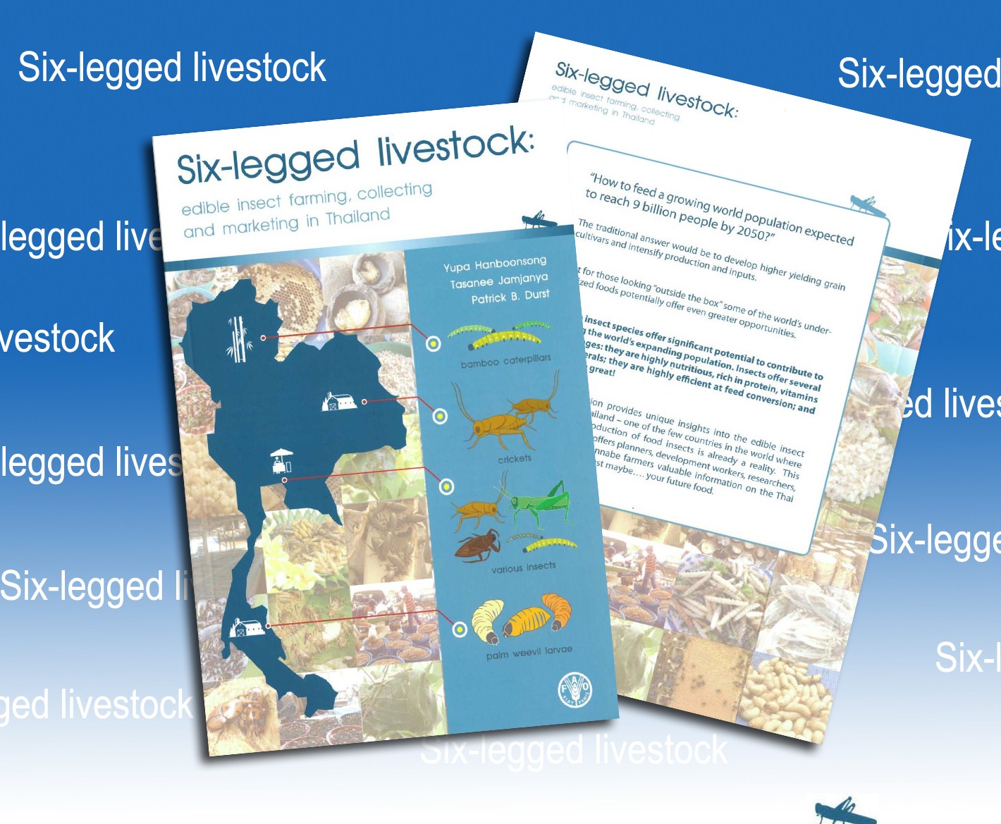 Media Advisory: Book Launch "Six-legged livestock: edible insect farming, collecting and marketing in Thailand"