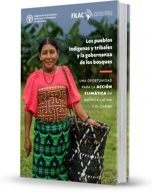 relatório “Povos indígenas e comunidades tradicionais e a governança florestal”
