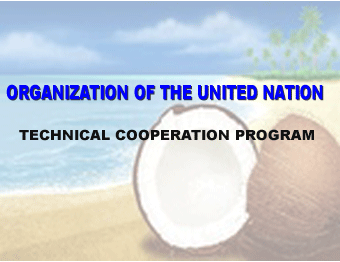 Food Security and Sustainable Livelihood Program for Pacific Island Countries : National Capacity Building for Strategic Project Identification and Design.