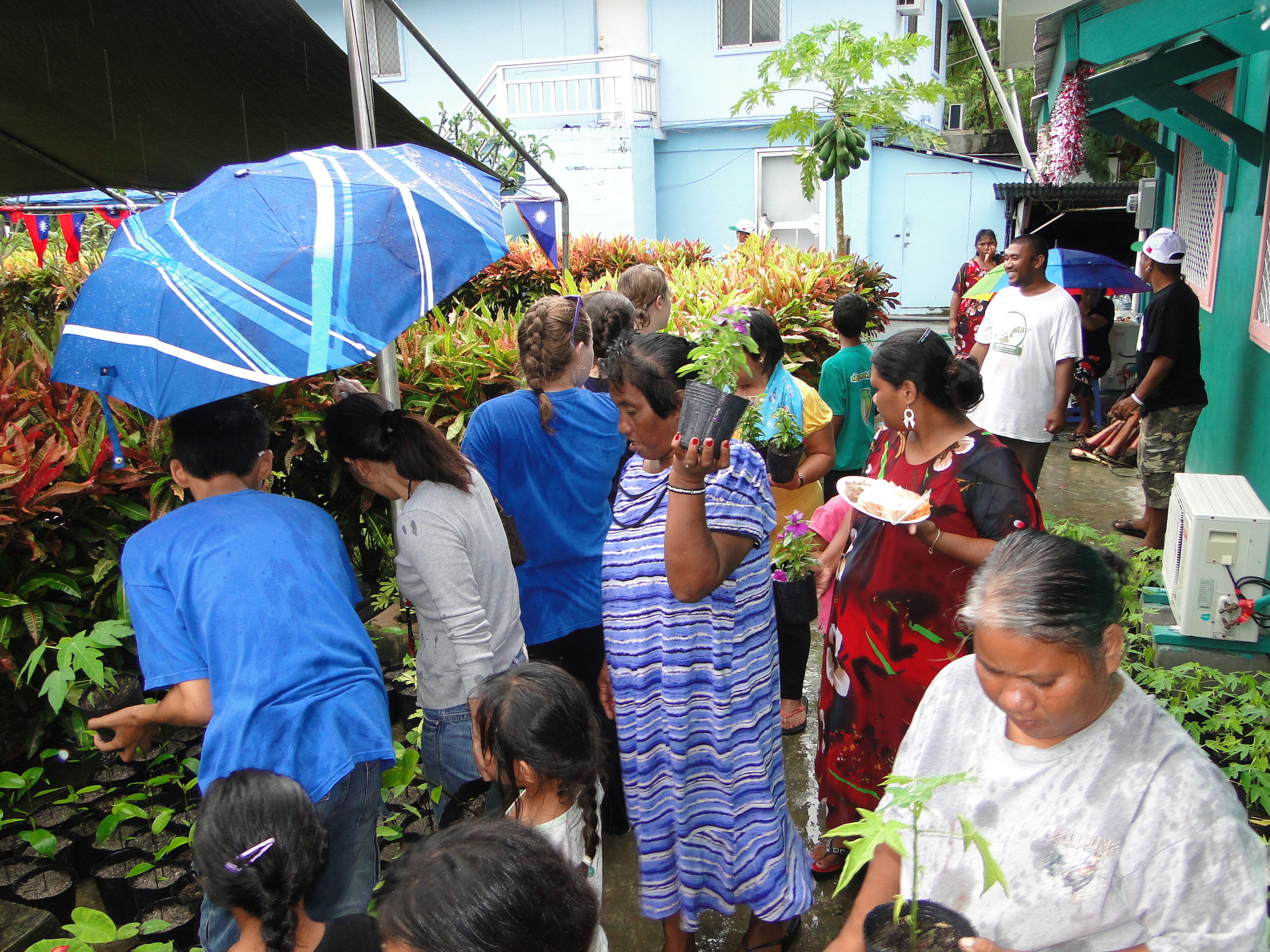 Free plants provided during the Marshal Islands WFD celebrations 2011. Photo: Rebecca Lorennij, NC, RMI
