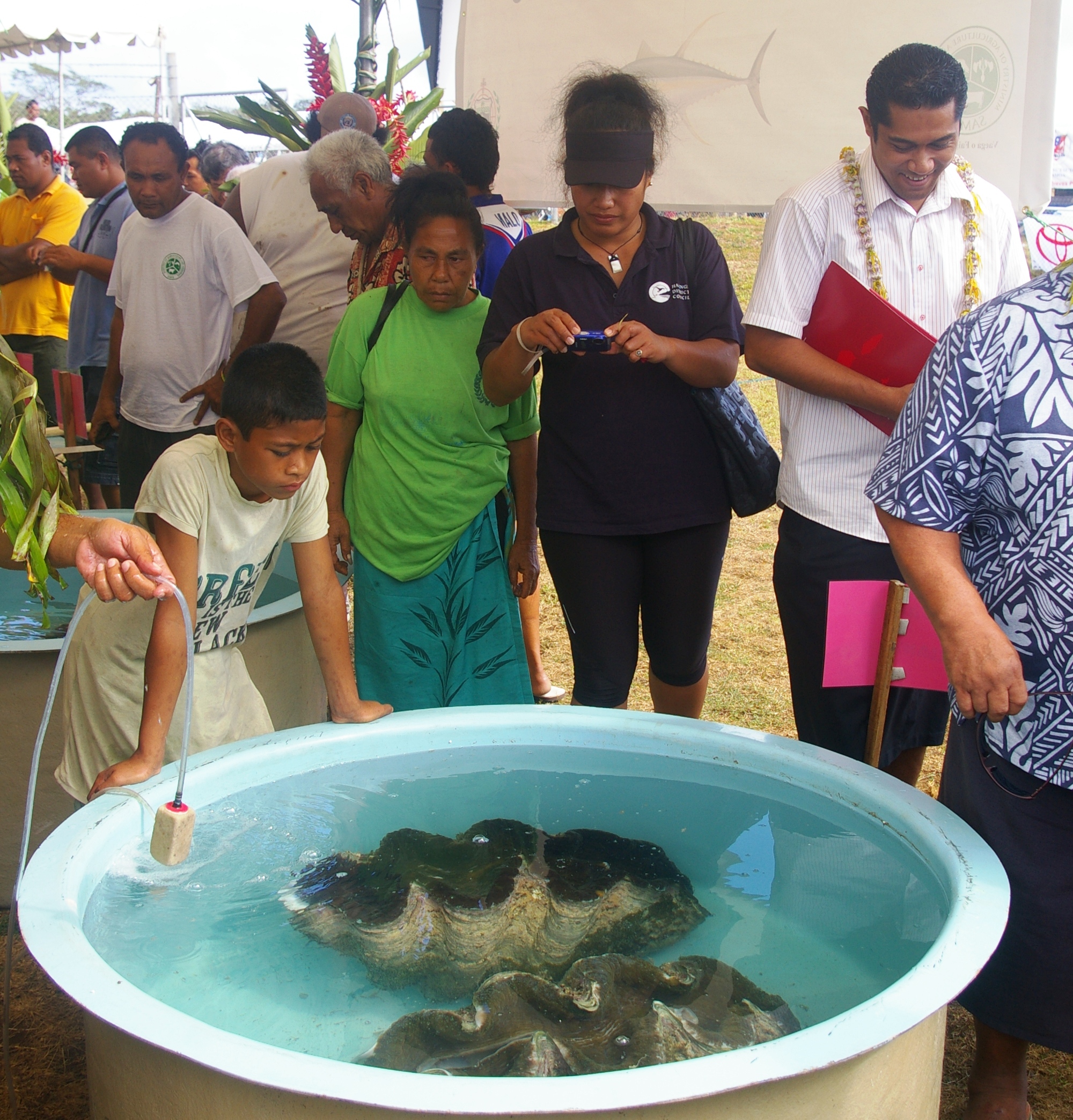 Samoa WFD Celebrations_Giant Clams. 14/10/11. (Photo: FAO-SAP)