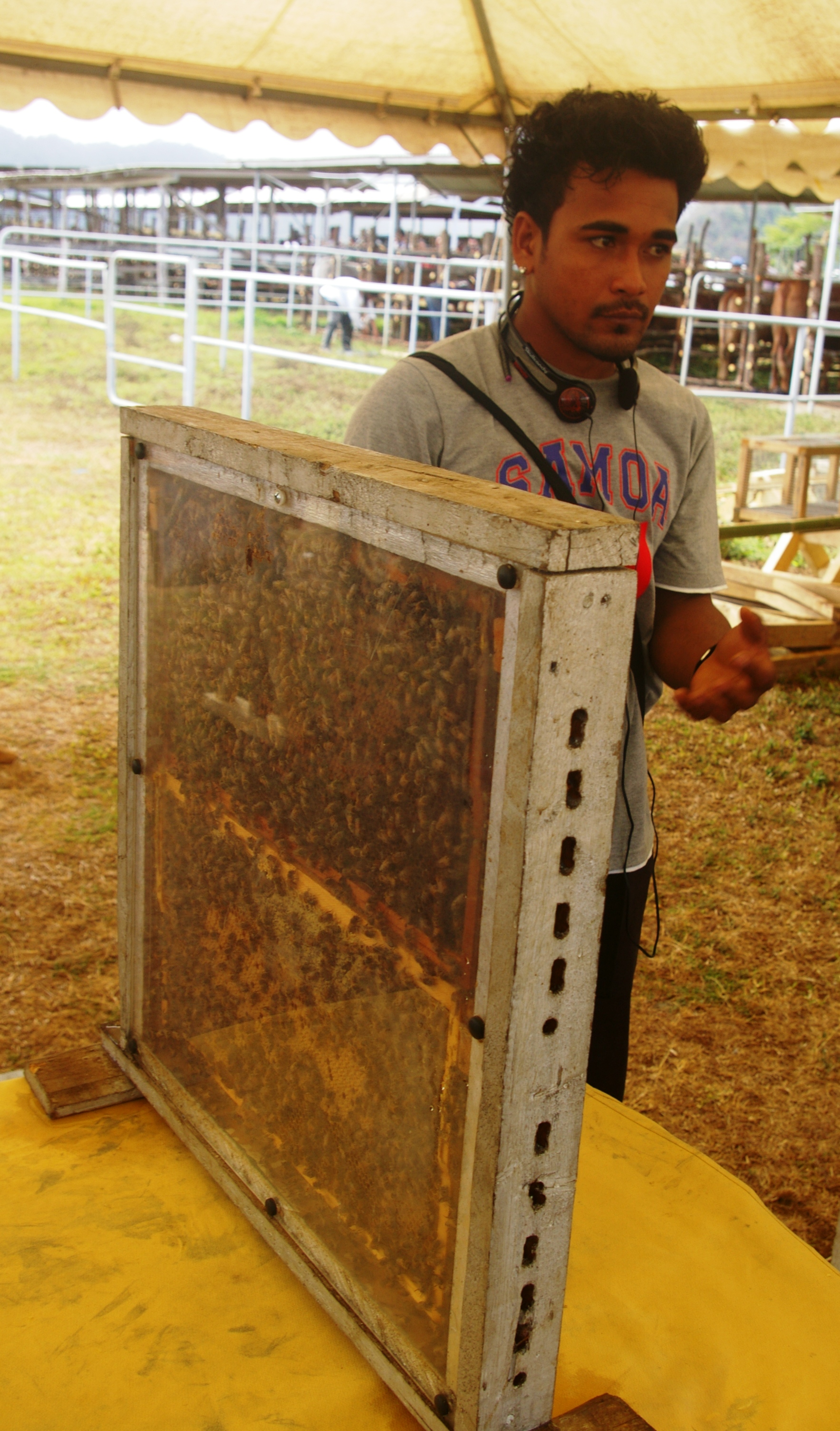 Displays during the Samoa WFD/Agriculture Show 2011. 12 Oct. Photo: Elisapeta Kerslake