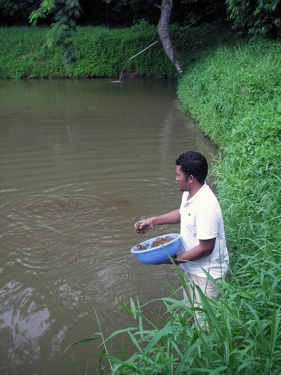 Pacific governments plan a better future from aquaculture