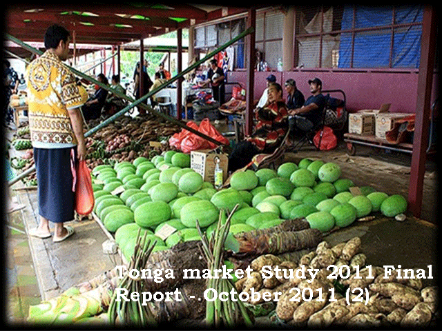 Tonga Domestic Market Study 