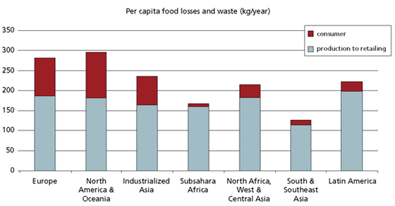 Image result for food waste stat