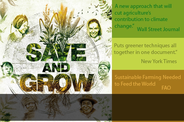 The Subregional Office for Central Asia (SEC) of FAO with the Regional Office for Europe and Central Asia (REU) successfully organized a regional workshop on “Save and Grow”.