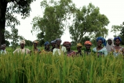 L’association agricole de Manako se dote de moyens pour produire plus de riz et de semences