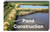 Pond construction