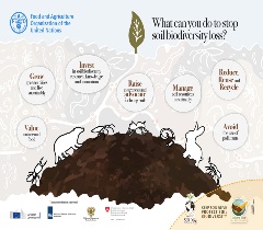 What can you do to stop soil biodiversity loss?