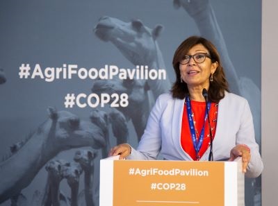 Maria Helena Semedo, Deputy Director-General, FAO at COP28 side event From Planning to implementation , 10 Dec 2023