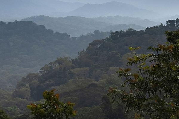 Forested landscapes close to the timber town of Lastoursville, Gabon