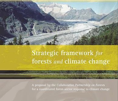 Strategic framework for forests and climate change