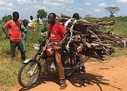 Uganda wood transport