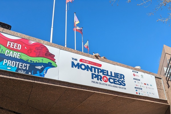 Montpellier process_HLPE