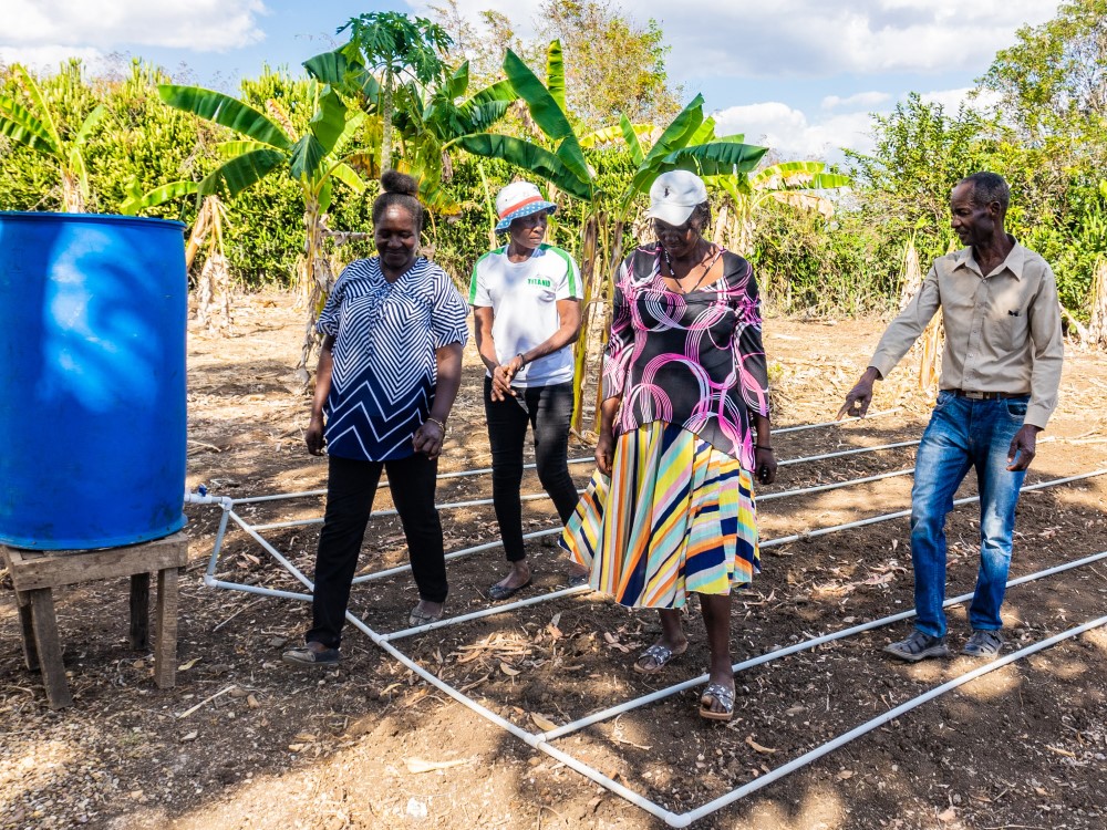 Rural communities in Haiti are finding new ways of minimizing crop losses and increasing income by implementing simple water management techniques. ©FAO/CECI
