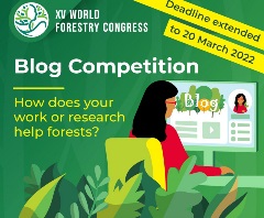 Blog competition
