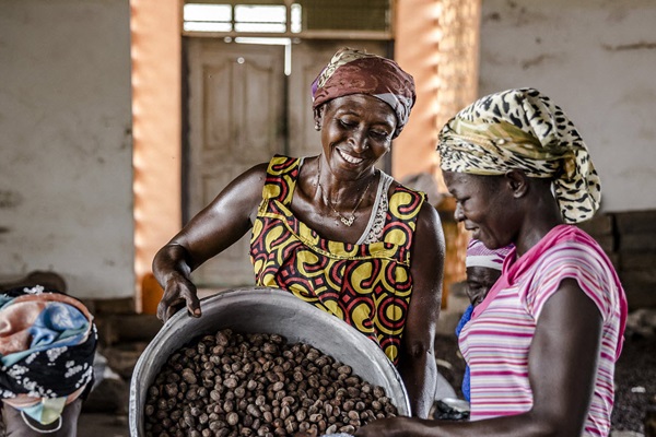 Ghana - Women put Shea seeds in a sack at Ojoba Women's Shea Cooperative