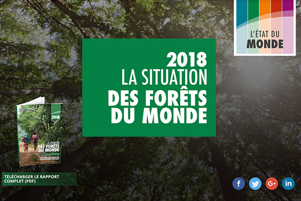 El estado de los bosques del mundo 2018