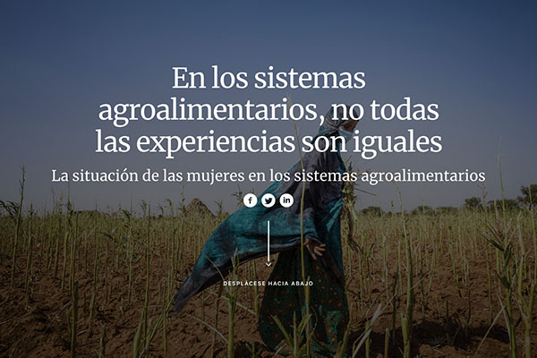 La situación de las mujeres en los sistemas agroalimentarios