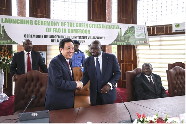联合国粮农组织正式在喀麦隆启动实施 “绿色城市”倡议