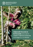 Adaptación basada en los bosques: adaptación transformadora a través de los bosques y los árboles