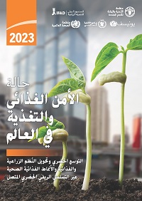 SOFI 2023 Arabic cover