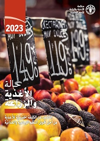 SOFA 2023 cover thumbnail in Arabic
