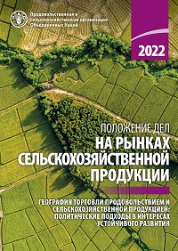 SOCO 2022 cover
