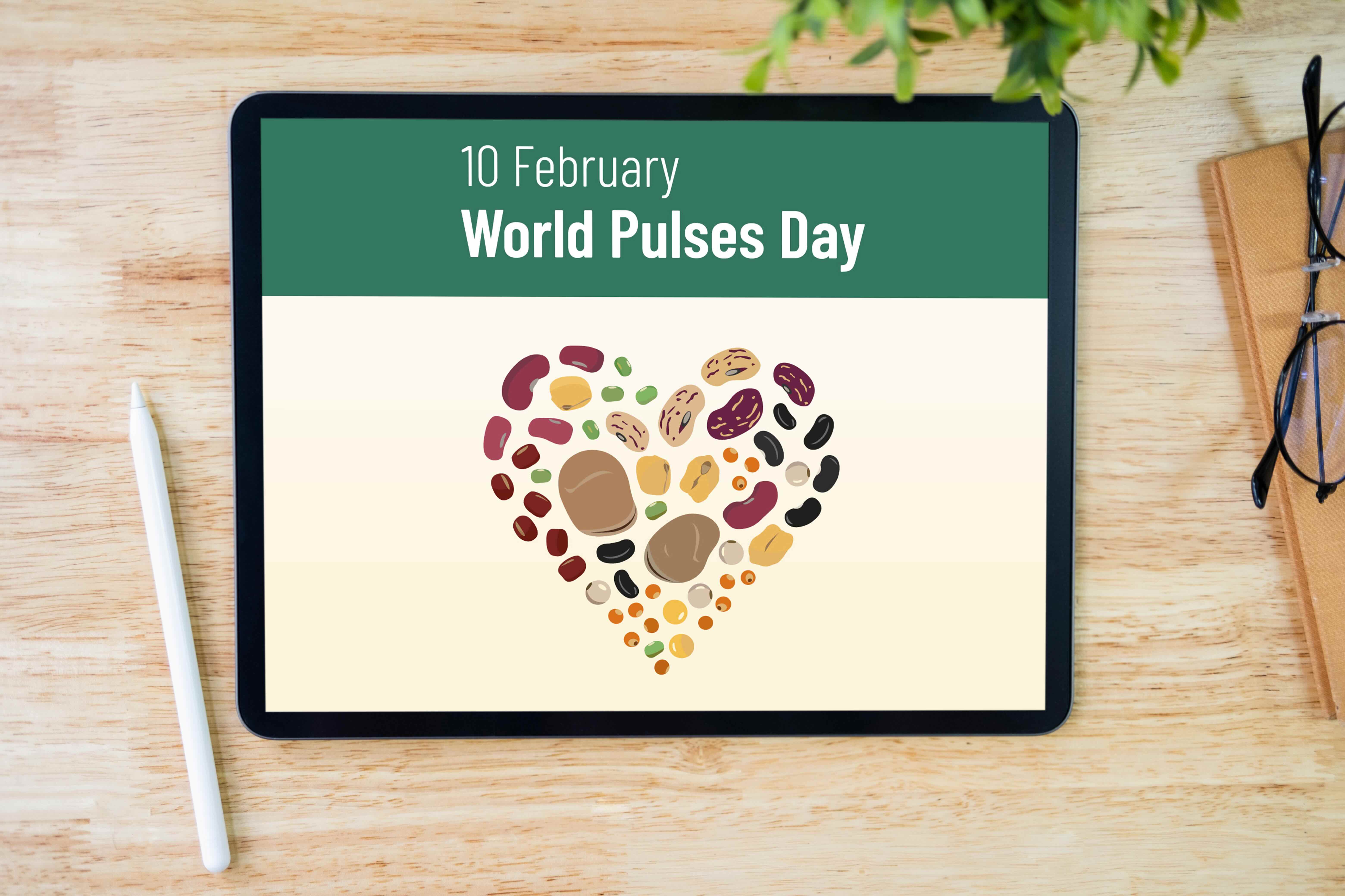 World Pulses Day Communication Toolkit