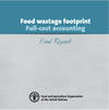 Food Wastage Footprint: Full cost-accounting