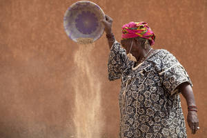 Photo: ©FAO/Giulio Napolitano