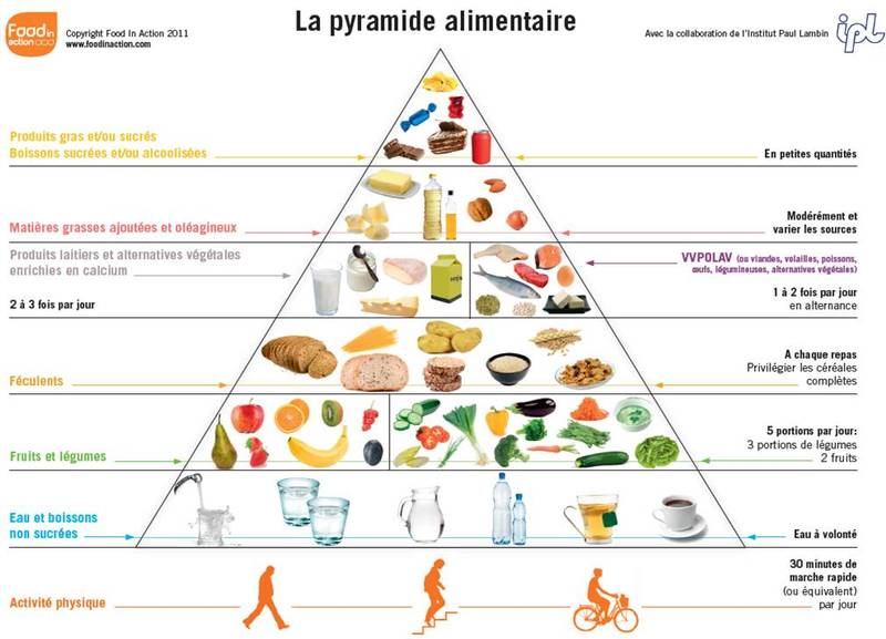 healthy nutrition belga frances