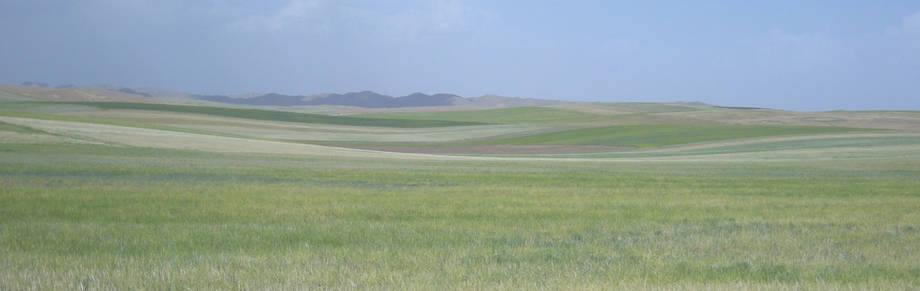 Tajikistan, 2008. ©FAO/A. Monard