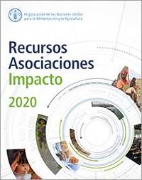 Informe anual 2020