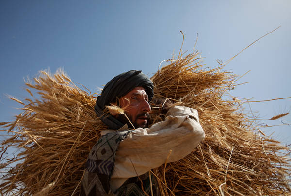 © FAO Photo: Dunfang Dennis