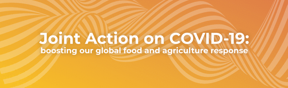 Online Global Dialogue: Joint action on COVID-19