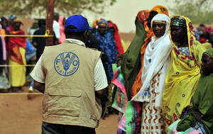 Foto: © FAO / Issouf Sanogo / FAO