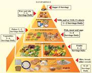 The Bangladeshi food guide. Reproduced with permission.