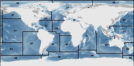 Mapa mundial de las principales áreas de pesca de la FAO © FAO Servicio de Estadísticas y Información de Pesca y Acuicultura