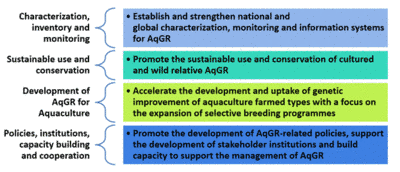 The four Priority Areas for a Global Plan of Action on AqGR