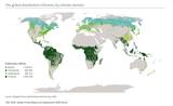 Глобальное распределение лесов по климатическим поясам, 2020 год