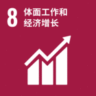 SDG 8