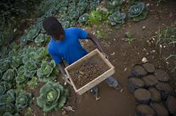 ©FAO/Walter Astrada
