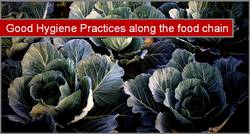 Good Hygiene Practices along the Food Chain © FAO