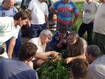 Crop production (Photo: REU)